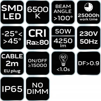 Halogen bílý studený 4500 lm 50 W