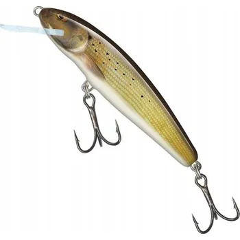 Umělá nástraha Wobler Salmo Minnow 5 cm 3 g Fl Grayling