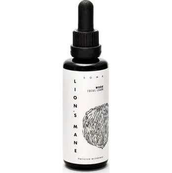 Přírodní produkt Lion's Mane BIO, tinktura 30 ml KÄÄPÄ Health