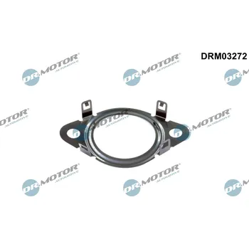 Těsnění, vedení AGR ventilu Dr.Motor Automotive DRM03272