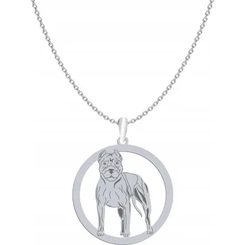 Náhrdelník Stříbrný náhrdelník Americký pitbulteriér - Pitbull