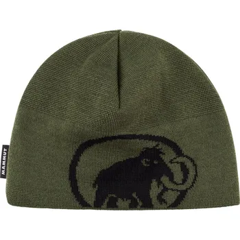Čepice Mammut Mammut Tweak Beanie Barva: Zelená tmavá