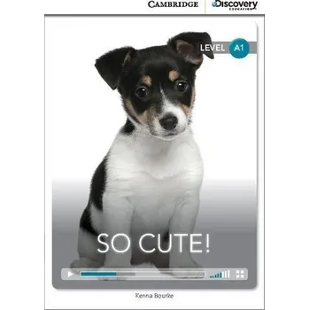 Anglický jazyk So Cute! Beginning Book with Online Access