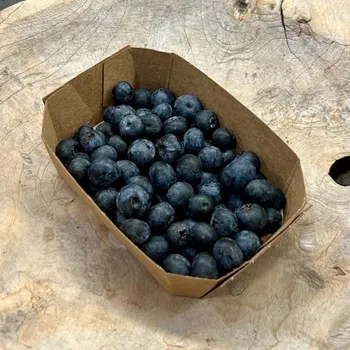 Sušené ovoce BIO borůvky, min. 125 g