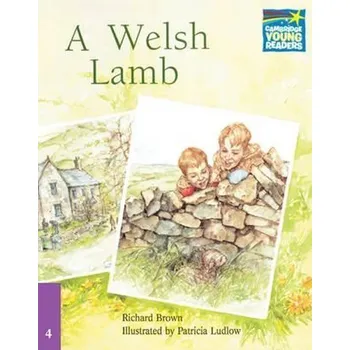 Cizí jazyk Cambridge Storybooks 4: A Welsh Lamb: Richard Brown