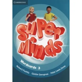 Cizí jazyk Super Minds Level 3 Wordcards (Pack of 83)