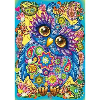 Obraz DIAMANTOVÁ VÝŠIVKA Diamond Painting Mozaika Fantastická sova 30x40 cm Sada