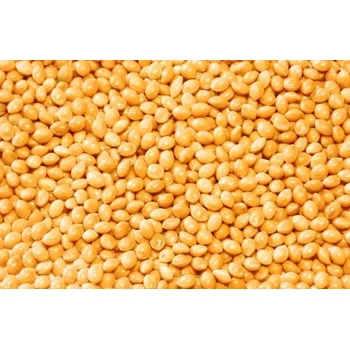 Krmivo pro ptáka PROFIZOO Proso zlaté 15 kg