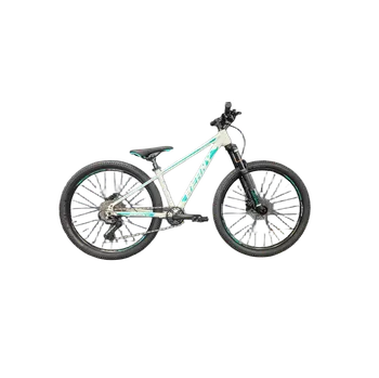 Dětské kolo Beany Blaster 26 white/mint 26