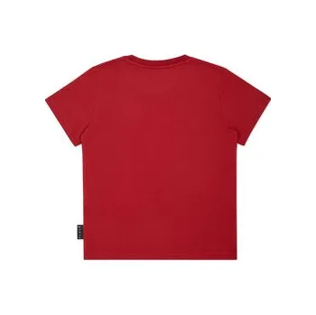 Pánské tričko PHILIPP PLEIN T-Shirt 22733 Červená Regular Fit 8