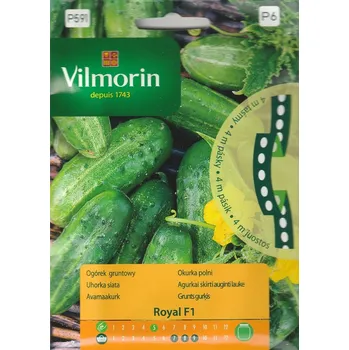 Semeno Okurka polní Royal F1 (nakládačka, hruboostná, na výsevném pásku)