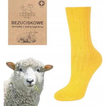 Pánské ponožky Ponožky CERBER bez vzoru, velikost 36-38