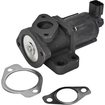 Palivový systém AGR-Ventil DELPHI EG10637-12B1