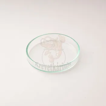 Krmítko pro ryby Krmící miska pro krevetky 6 cm