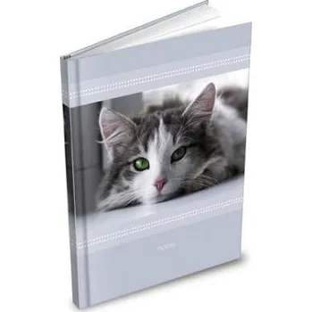 Blok Záznamová kniha A5 MFP 100l/linka ZL5104 [L]