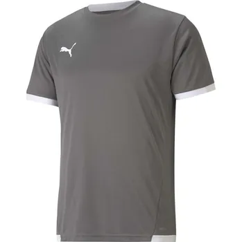 Pánské tričko Pánské fotbalové triko Puma TEAM LIGA JERSEY TEE XL Šedá, Bílá