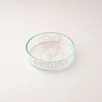 Krmítko pro ryby Krmící miska pro krevetky 5 cm
