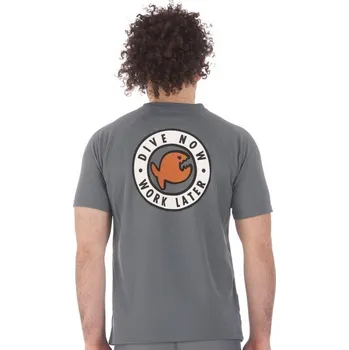 Tričko iQ DNWL , šedé, DiVE NOW WORK LATER Barva: šedá, Velikost: XL 545110.4765 XL