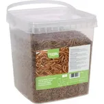 Kerbl Sušení mouční červy 900 g