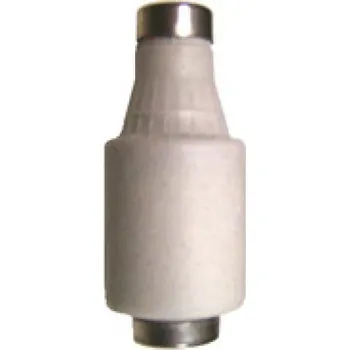 Fasádní barva DANAPO Keramická pojistka - Pojistková vložka E33 2420 Varianta: 50A