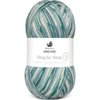 Příze Příze Mayflower Anyday Step by Step 1 petrol 002