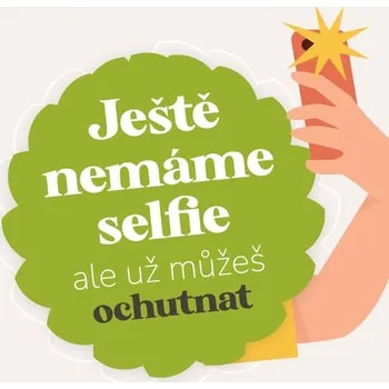 Sušené ovoce Lyofilizovaná mandarinka