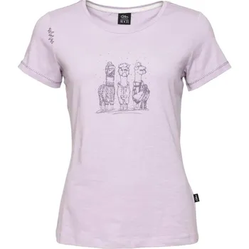 Pánská móda CHILLAZ Gandia Alpaca Gang Winter violet varianta: 36