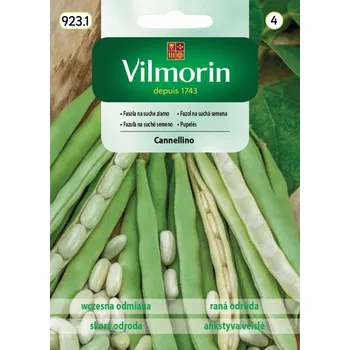 Semeno Fazol na suchá semena Cannellino (raný, keříčkový)