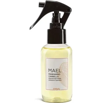 Osvěžovač vzduchu ERBAL ERBAL Interiérový sprej s vůní MAEL - 100 ml LH490067