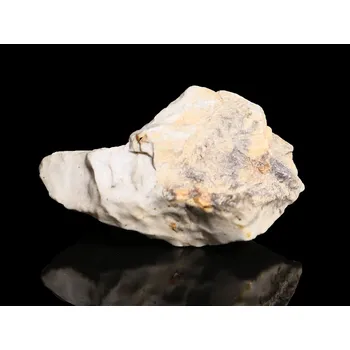 Přírodní kámen Meteorit | Achondrit | Djoua 001 | 4,67 g