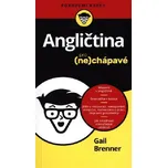 Angličtina pro nechápavé - Gail Brenner