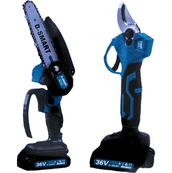 Sada nářadí D-SMART AKU sada 2v1 – řetězová pilka + nůžky 21V / 2Ah