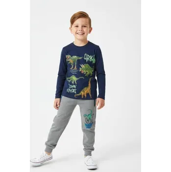 Chlapecké tepláky s dinosaurem FT7048 Velikost: 122, Barva: Šedá