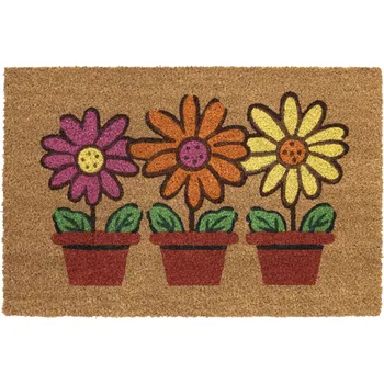 Rohožka Kokosová rohožka, čisticí zóna na boty, motiv květin a květináčů, 40x60 cm