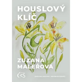 Kniha Houslový klíč - Zuzana Maléřová