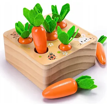 Dřevěná hračka Montessori Hračka Třídič Kostek Dřevěná Mrkev