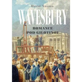 Kniha Wavesbury - David Návara