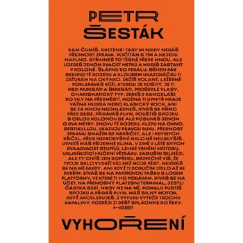 Kniha Vyhoření - Petr Šesták