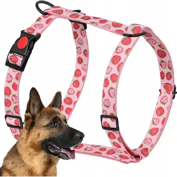 Postroj pro psa ZANDOR PEVNÉ NASTAVITELNÉ POSTROJE GUARD PRO PSA Z PLÁTNA 25mm XL