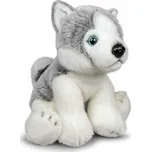 PLYŠÁK Zvířátko Pejsek HUSKY Plyšový Mazlíček Přítulníček Pro miminka Plyšové Plyšáci