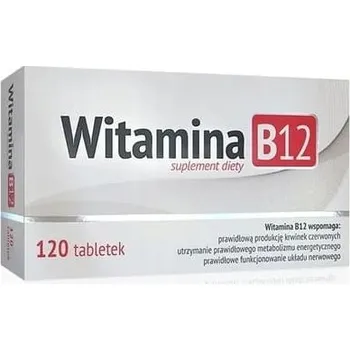 Alg Pharma Vitamin B12 120 tablet