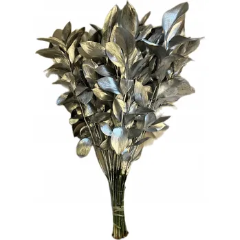 Obraz Ruscus izraelský barvený 50 cm balíček 50 ks vánoční dekorace kytice