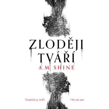 Kniha Zloději tváří - A. M. Shine