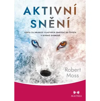 Kniha Aktivní snění - Robert Moss
