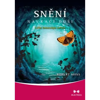 Kniha Snění navrací duši - Robert Moss