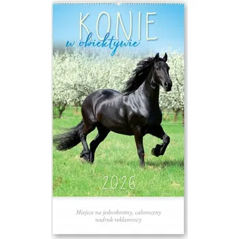 Kalendář Reklamní nástěnný kalendář 2026 KONĚ V OBJEKTIVU
