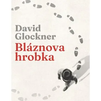 Kniha Bláznova hrobka - David Glockner