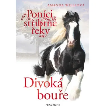 Kniha Poníci od stříbrné řeky – Divoká bouře - Amanda Willsová