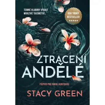 Kniha Ztracení andělé - Stacy Green