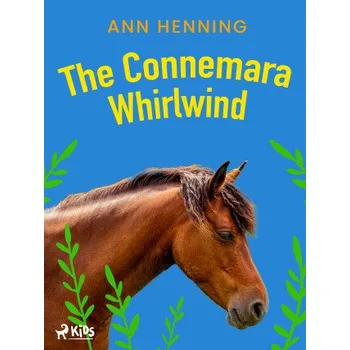 Kniha The Connemara Whirlwind - Ann Henning